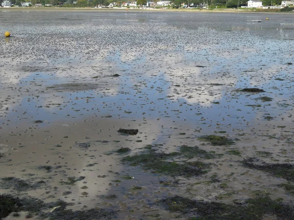 Düşük Tide Poole limanında
