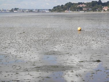 Düşük tide Poole Harbour, Dorset