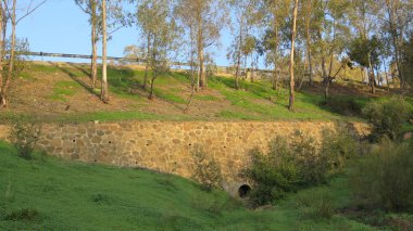 İstinat duvarı okaliptüs ağaçları altında
