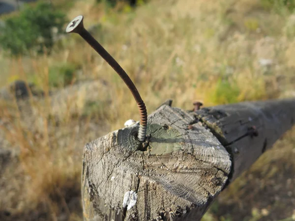 Rusty screw in post — Stock Photo, Image