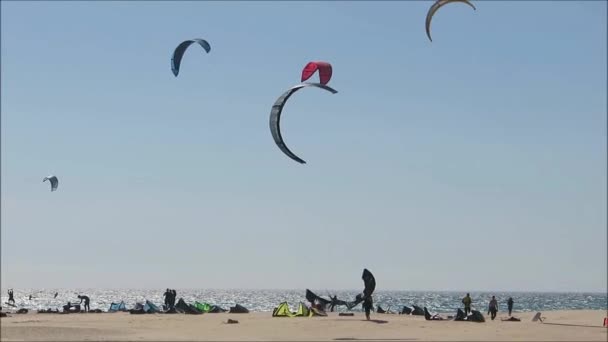 Kite Surfing Από Την Παραλία Στην Tarifa Ανδαλουσία Νότια Ισπανία — Αρχείο Βίντεο