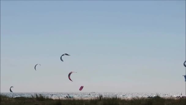 Kite Surfing Από Την Παραλία Στην Tarifa Ανδαλουσία Νότια Ισπανία — Αρχείο Βίντεο