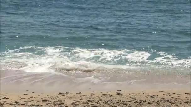 Playa Arena Abandonada Con Suave Ola Cerdo Faldero Cerca Tarifa — Vídeo de stock