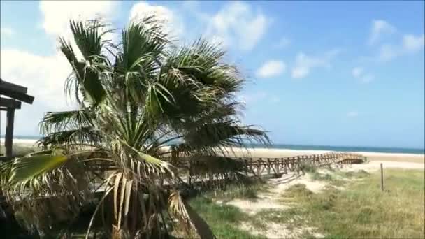 Deserted Αμμώδη Παραλία Ξύλινο Διάδρομο Κοντά Tarifa Στη Νότια Ανδαλουσία — Αρχείο Βίντεο