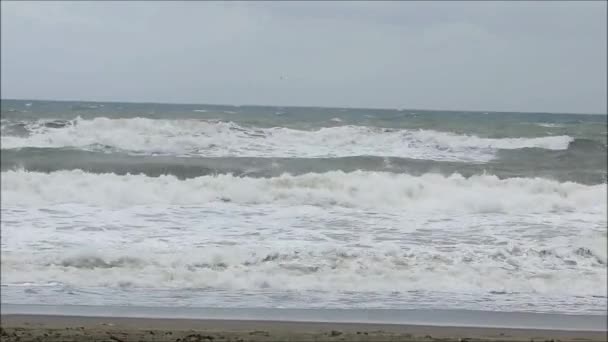 Waves Breaking Shore Storm Southern Andalusia — 비디오