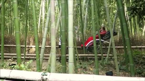 Kyoto Giappone Dicembre 2019 Carrozza Nell Arashiyama Bamboo Grove Kyoto — Video Stock