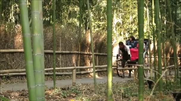 Kioto Japonia Grudnia 2019 Przewóz Arashiyama Bamboo Grove Kioto — Wideo stockowe