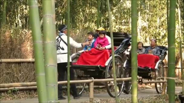 Kyoto Japon 1Er Décembre 2019 Transport Dans Forêt Bambous Arashiyama — Video