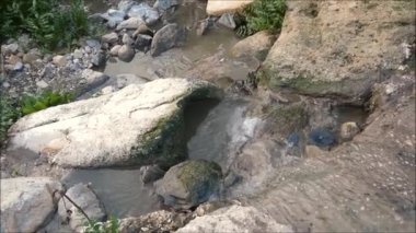 Endülüs 'ün uzak kırsalında güneşli bir şubat gününde sakin bir dağ deresi