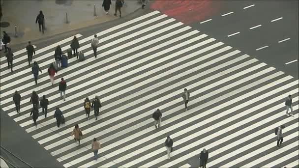 Tokio Japonsko Prosince 2019 Lidé Využívající Rušný Pěší Přechod Centru — Stock video
