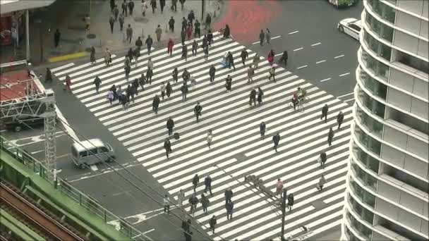 Токио Япония Декабря 2019 Люди Использующие Пешеходный Переход Деловом Районе — стоковое видео