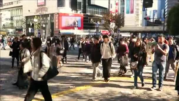 日本东京 2019年12月8日 人们在商业区使用繁忙的人行横道 — 图库视频影像