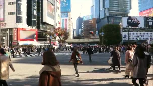 Tokió Japán 2019 December Forgalmas Gyalogos Átkelőhelyeket Használók Belvárosban — Stock videók