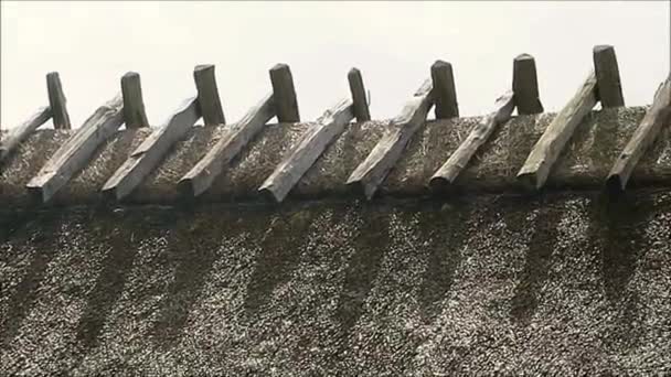 デンマーク ホルム2019年5月27日 旧南デンマーク村の石畳の通りに半木造建築 — ストック動画
