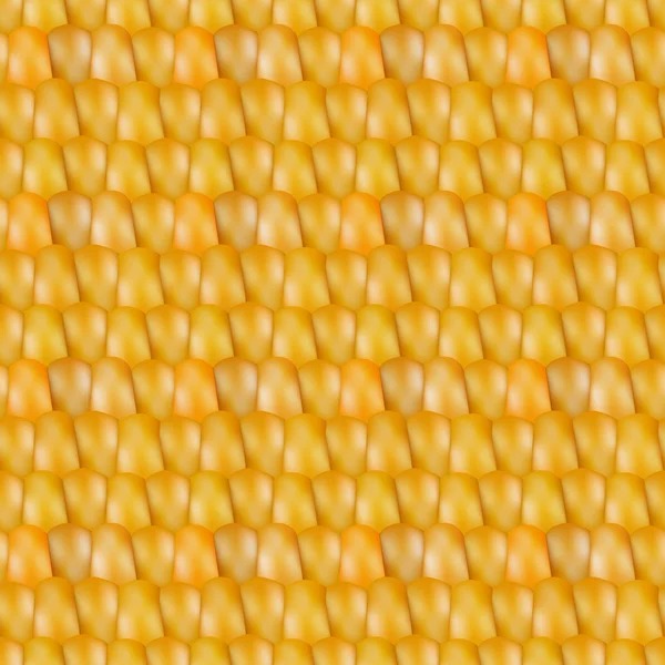 Realistic texture corn, vector illustration. — Stock Vector