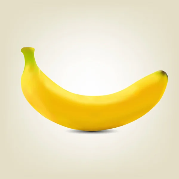 Photorealistic yellow banana, vector illustration. — Stock Vector