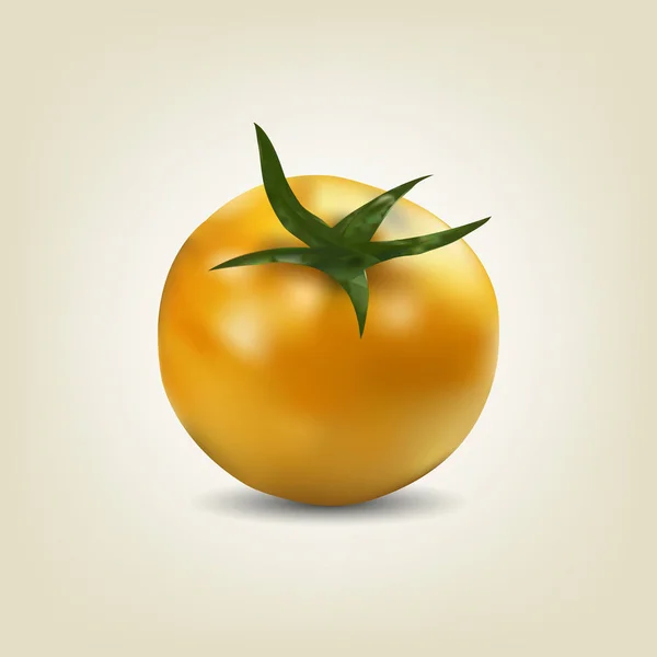 Photo réaliste tomate jaune, illustration vectorielle — Image vectorielle