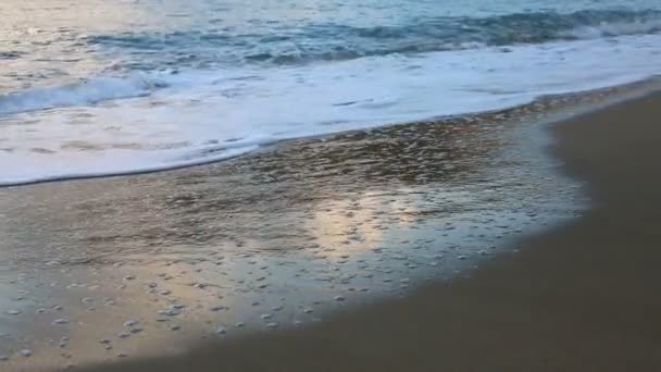Mjuk våg av blått hav på sandstrand — Stockvideo