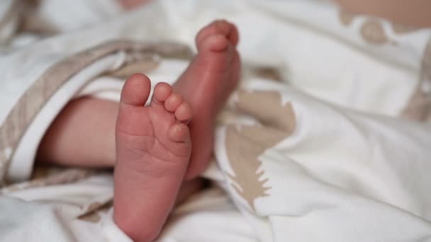 Новорожденные детские ноги — стоковое видео