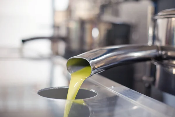 オリーブ収穫後コールド プレス工場の管から油を注いでいます。 — ストック写真