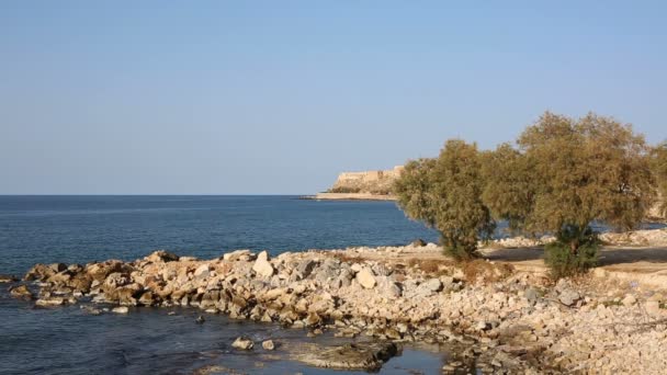 Skaliste wybrzeże z niebieskim morzu gajami oliwnymi i starożytnej fortecy Rethymno na tle unfocused — Wideo stockowe