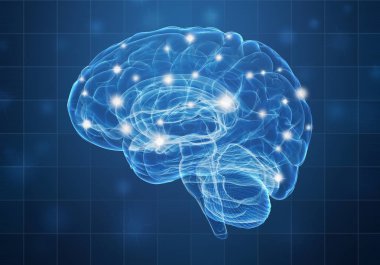 Mavi arka plan üzerinde bir insan beyni