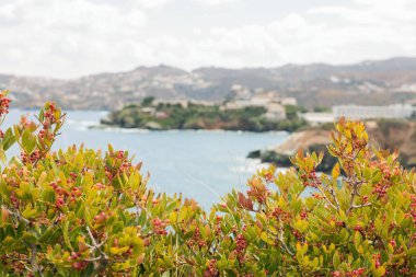 Deniz Manzaralı bir manzara