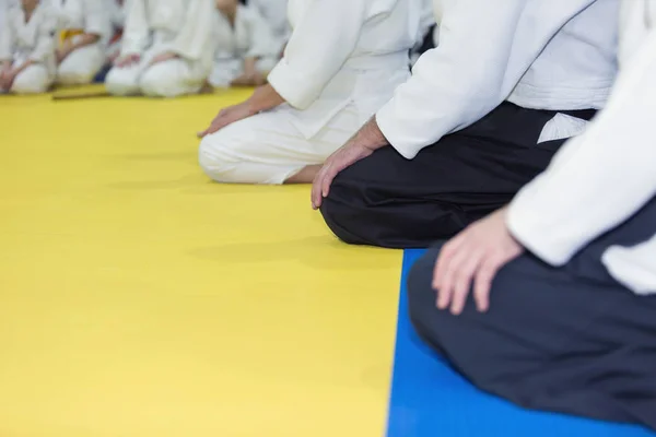 Mensen in kimono en hakama op vechtsport opleiding seminar — Stockfoto