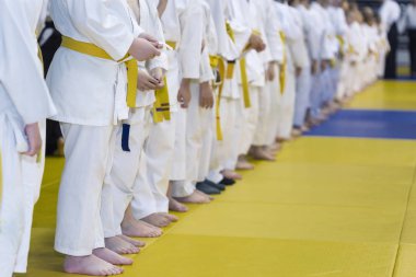 Çocukların kimono ayakta tatami üzerinde grup