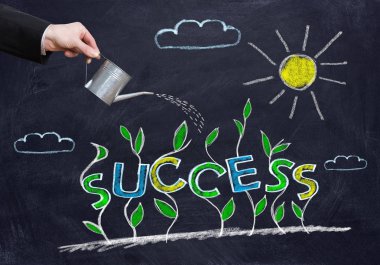 Başarılı iş stratejisi