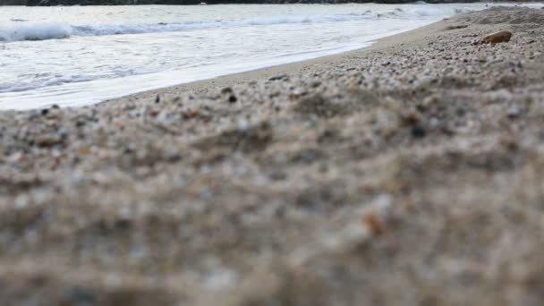 Morbida onda e spiaggia sabbiosa — Video Stock