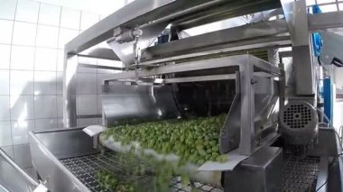 Zeytin modern yağ fabrikasında temizleme işlemi