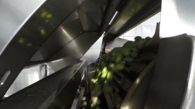 Zeytin modern yağ fabrikasında temizleme işlemi