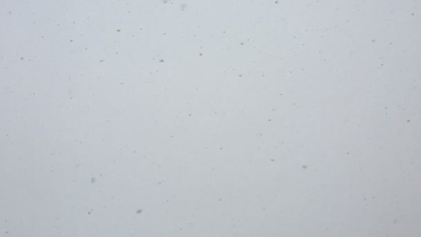 Vallende sneeuwvlokken — Stockvideo