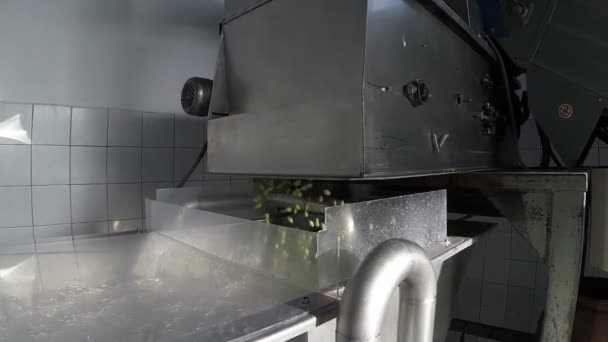 Der Prozess der Olivenreinigung in einer modernen Ölmühle — Stockvideo