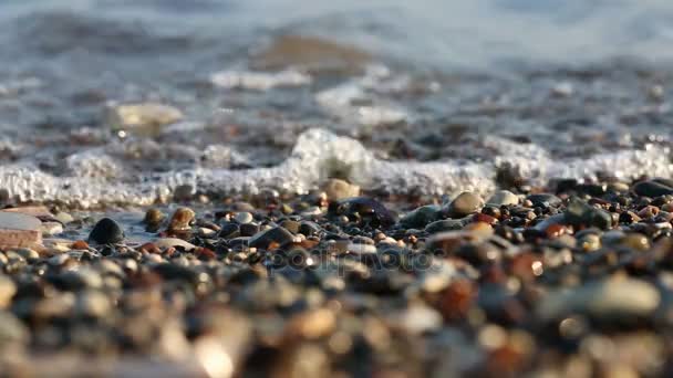 Soft wave of the sea on the sandy beach — Stock Video