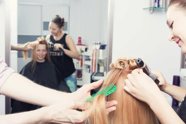 Una peluquera haciendo un corte de pelo — Foto de Stock