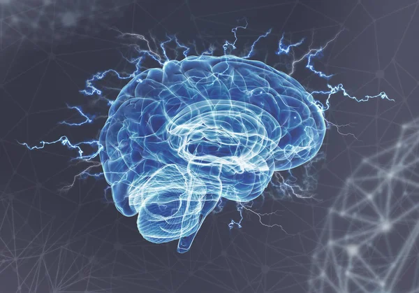 Человеческий мозг на синем фоне — стоковое фото