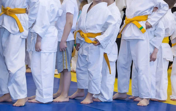 Kinderen in kimono op vechtsport opleiding seminar — Stockfoto