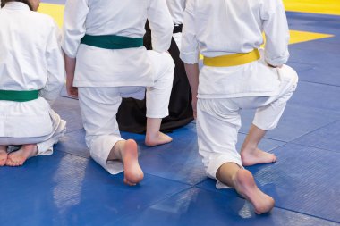 Çocuklarda kimono dövüş sanatları Eğitim Semineri