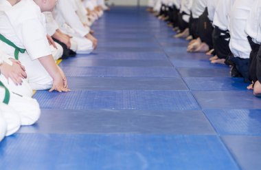 İnsanlar kimono ve hakama dövüş sanatları Eğitim Semineri