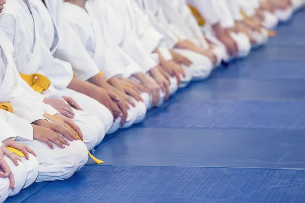 Grupo de niños en kimono sentados en tatami —  Fotos de Stock