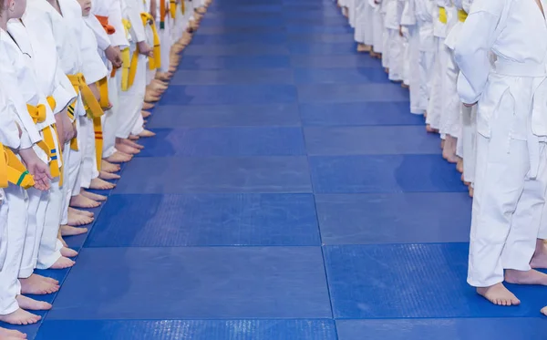 Niños en kimono de pie en una fila — Foto de Stock