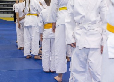 Çocuklarda kimono dövüş sanatları Eğitim Semineri