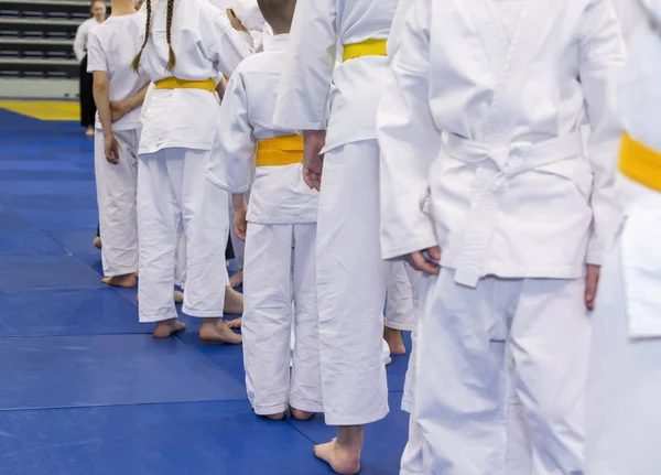 Çocuklarda kimono dövüş sanatları Eğitim Semineri