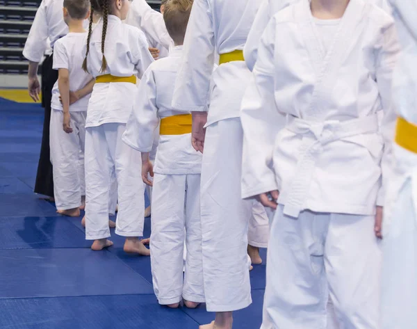 Kinderen in kimono op vechtsport opleiding seminar — Stockfoto