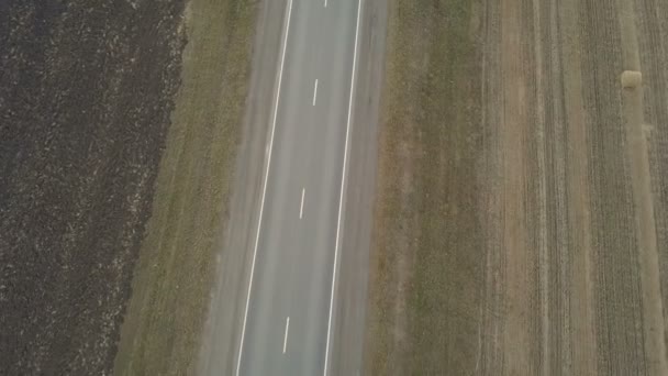 Vracht vrachtwagen vervoer van goederen op een snelweg — Stockvideo