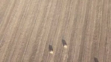 Buğday hasat sonra sahada haystacks saman. Haystacks ile sonbahar çiftlik sahne. Havadan görüntüleri