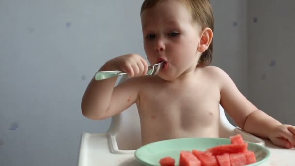 Милый мальчик ест арбуз — стоковое видео