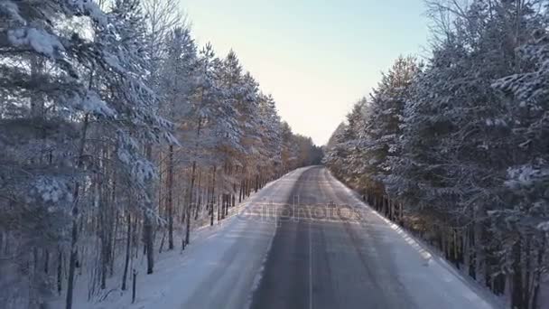 Порожня дорога в зимовому лісі — стокове відео